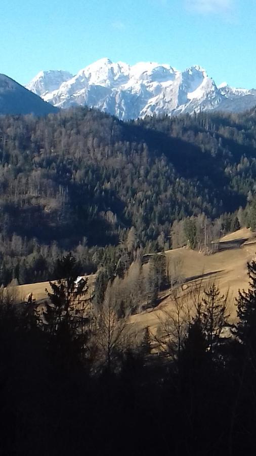 Apartma Podlogar Golica Triglav Lägenhet Jesenice Exteriör bild
