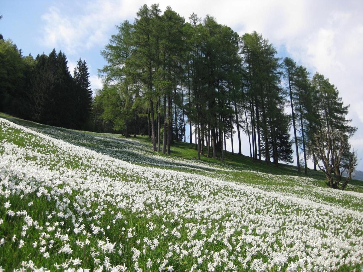 Apartma Podlogar Golica Triglav Lägenhet Jesenice Exteriör bild